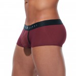 Boxer Torridz
